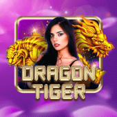Dragon Tiger on Super Ace 2026
